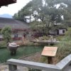 123