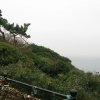 Inoshima_7
