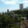 DSCF1376