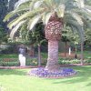 DSCF1377