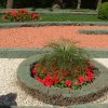 DSCF1386
