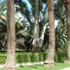 DSCF1390