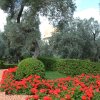 DSCF1392
