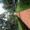 DSCF1393