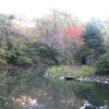 Tokyo_Univ_Area_3