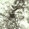 v186