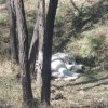 DSCN4224