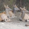 DSCN4371